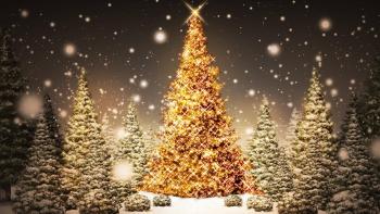 Режим работы городских автобусов в Новогоднюю Ночь 2019-2020 гг.